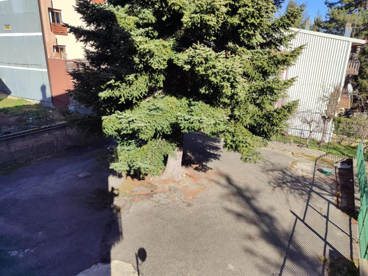 Madresila Home Camigliatello Silano Exteriér fotografie